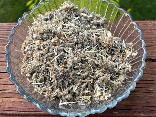 HOREHOUND - Protection, Healing, Banish