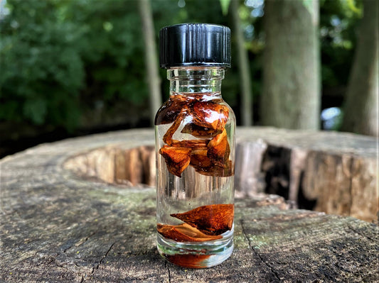 STAR ANISE OIL DILUTE - Banishing, Divination, Awareness