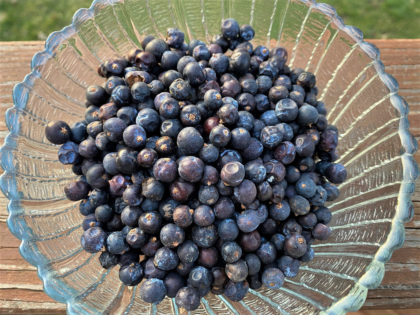 JUNIPER BERRIES - Protection, Banishing, Prosperity